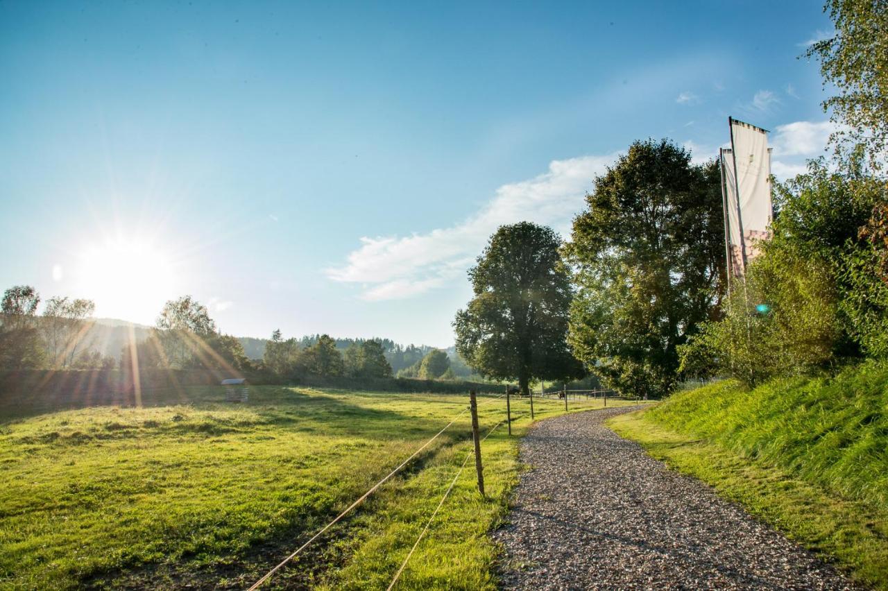 Forstgut - Premium Waldchalets Und Lodge Suiten Regen Exteriör bild